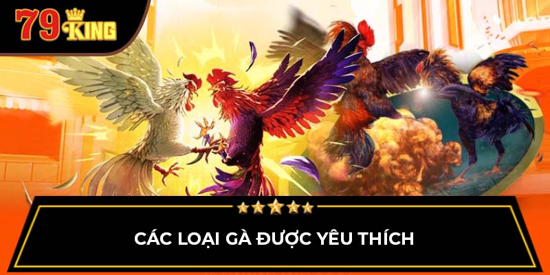 Các loại gà được yêu thích