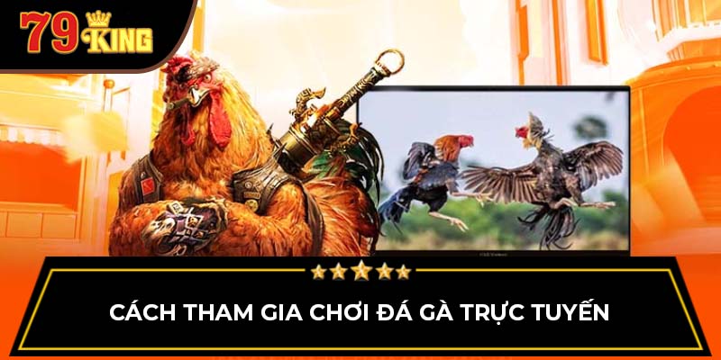 Cách tham gia chơi đá gà trực tuyến