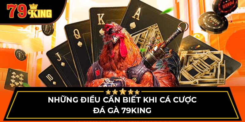 đá gà 79King